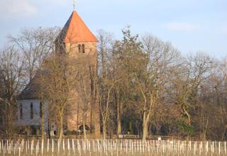 Muschelstein Wollmersheim