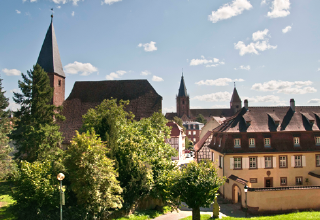 Shell stone Wissembourg