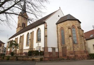 Shell stone Deidesheim